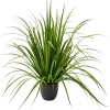 CASA Allium Hierba Ornamental Verde Hot