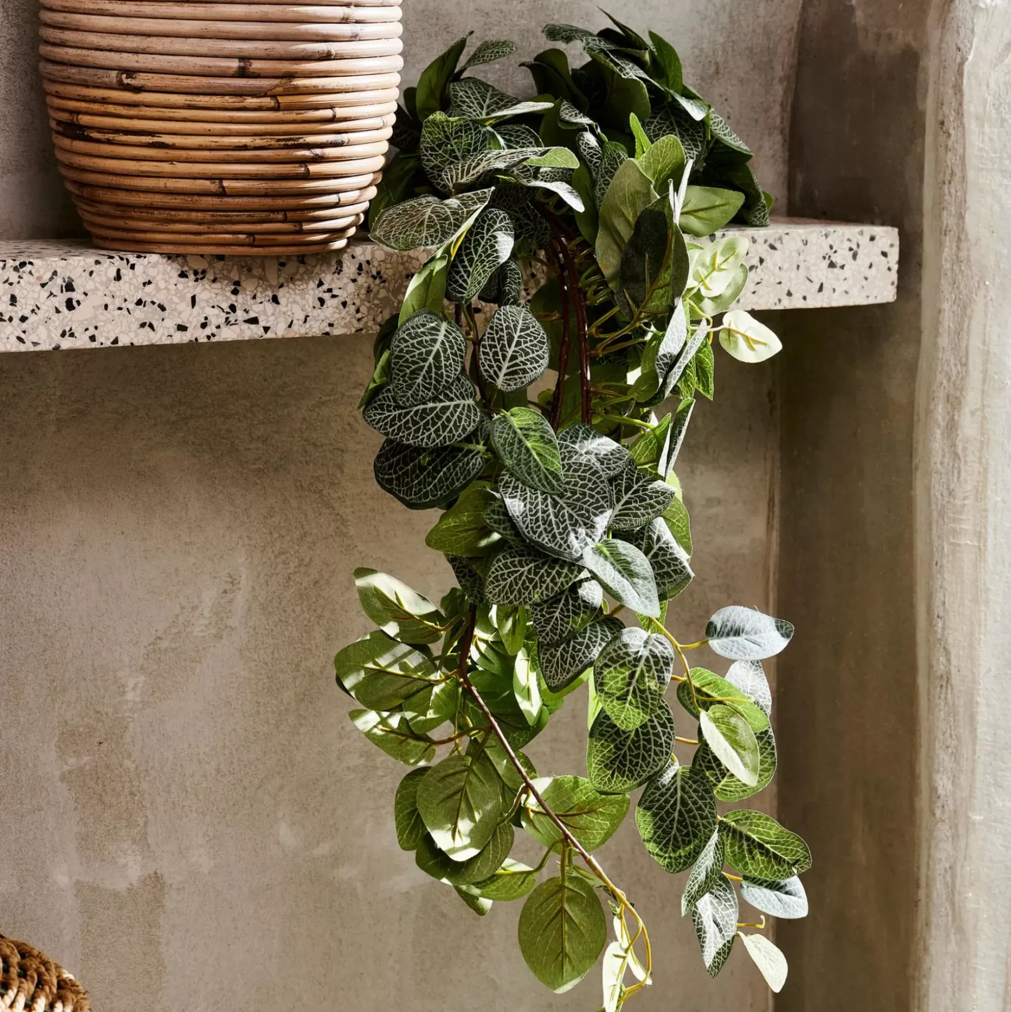 CASA Fittonia Guirnalda De Hojas Verde Clearance