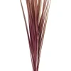 CASA Grass Haz De Hierba Rojo Cheap