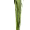 CASA Grass Haz De Hierba Verde Clearance