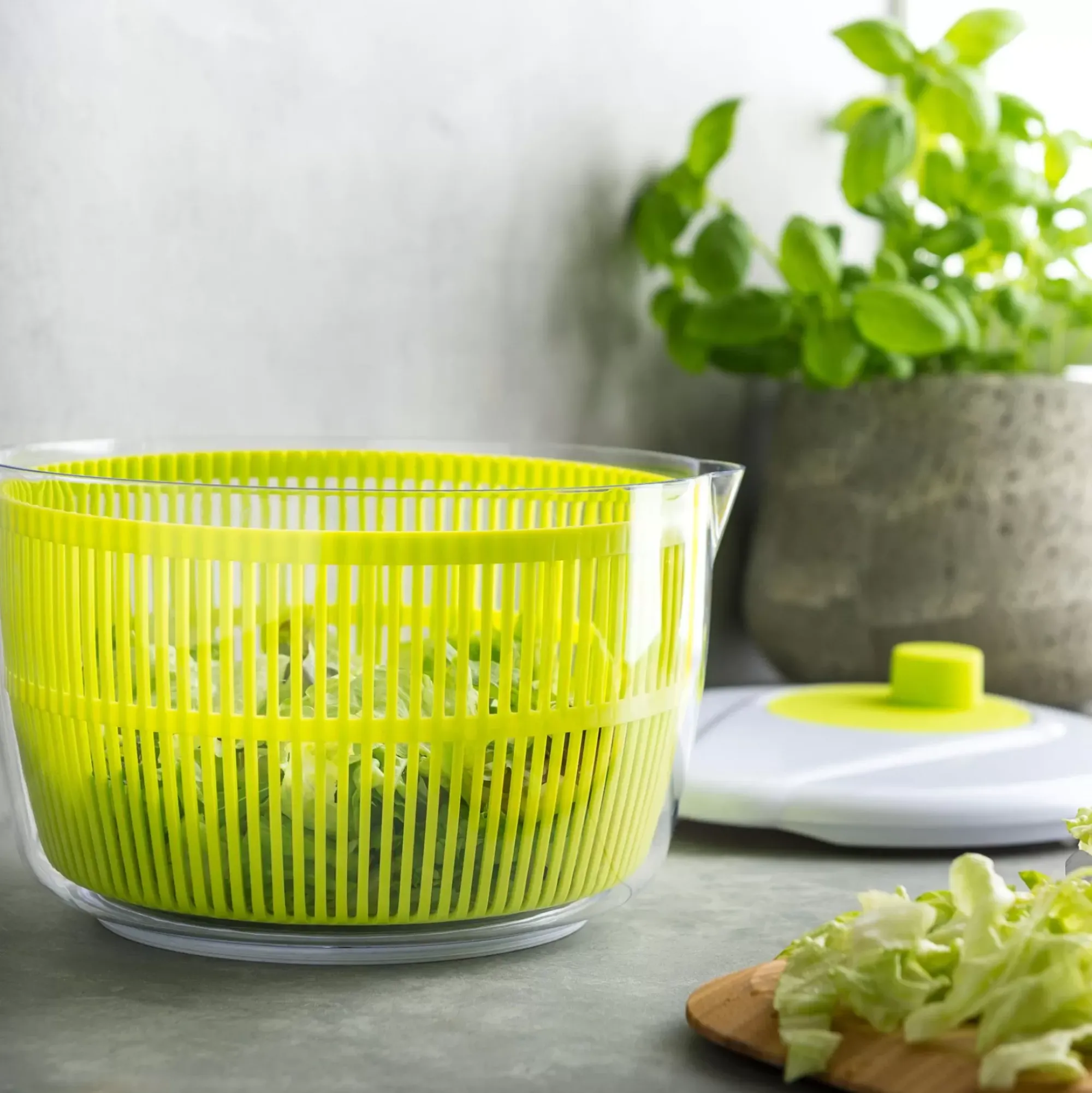 CASA Vida Verde Escurridor De Lechugas Blanco, Verde New